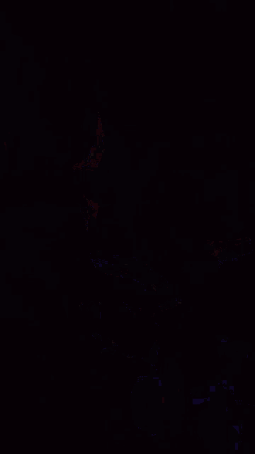Anime Mafia9999 GIF