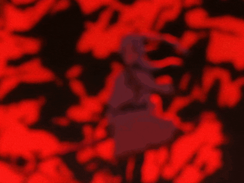 Anime Spell GIF