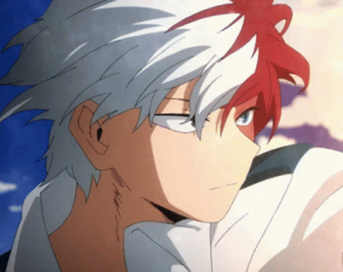 Anime Todoroki GIF. This 498 x 395 animated GIF is part of our todoroki shouto collection. Related themes include anime, funny, my hero academia. Created by…