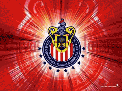 Animo GIF