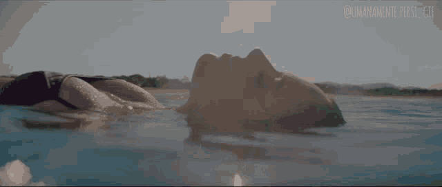 Annalisa Annalia GIF