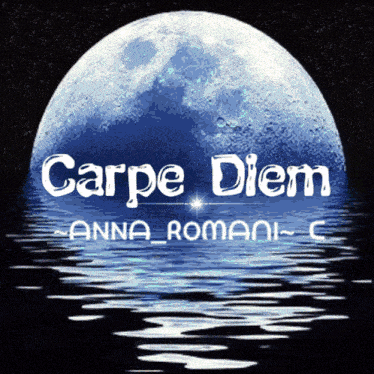 Annaromani Carpediem GIF