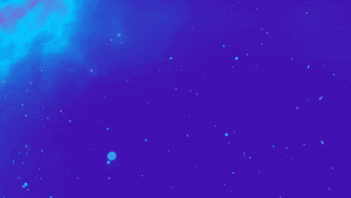 Anniversary 3rd Anniversary GIF