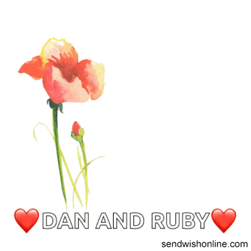 Anniversary Anniversary Wishes GIF
