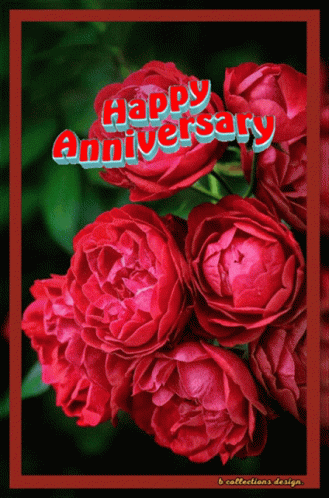 Anniversary Happy GIF