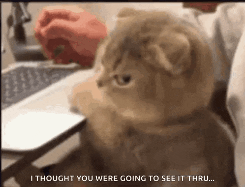 Annoyed Disappointed GIF