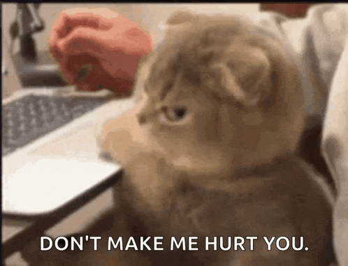 Annoyed Disappointed GIF