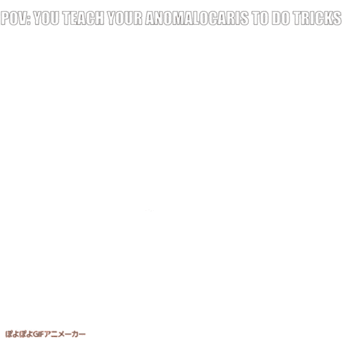 Anomalocaris Do A Flip GIF