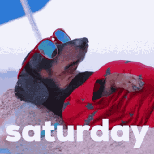 Another Day GIF. This 498 x 498 animated GIF is part of our lustige bilder samstag collection. Created by vicgloriussue. View the original animation, share…