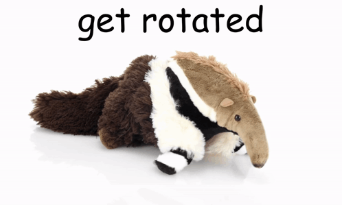 Anteater Plush GIF