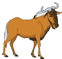 Antelope Black Wildebeest Sticker
