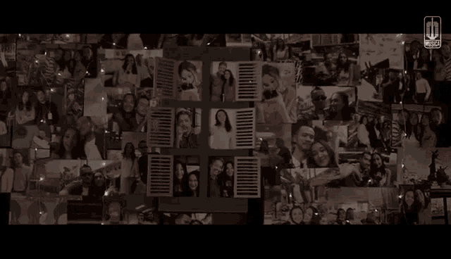 Antologirasa Harrisrisjad GIF