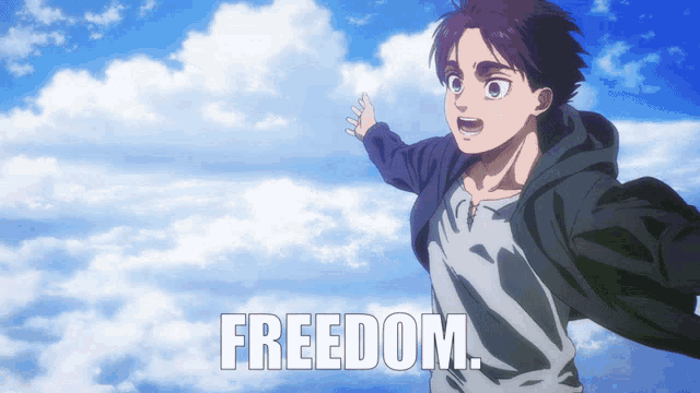 Aot Freedom GIF