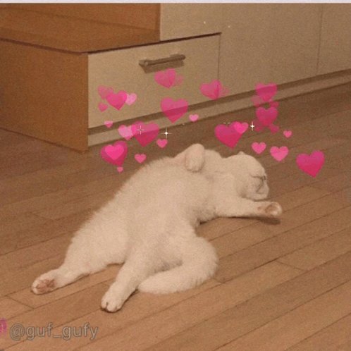 Apaixonado Apaixonado Por Você GIF