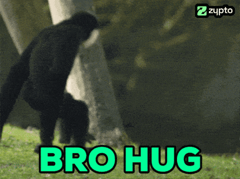 Ape Ape Hug GIF