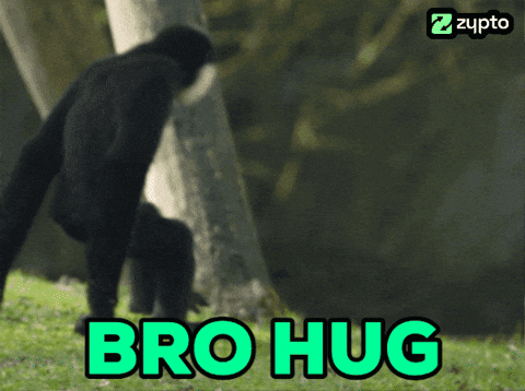Ape Ape Hug GIF