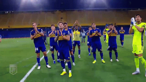 Aplauso Liga Profesional De Fútbol De La Afa GIF