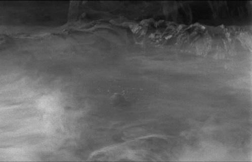 Appeared The Gill Man GIF. This 498 x 320 animated GIF is part of our loch ness collection. Created by UniversalMonsters. View the original animation, share…