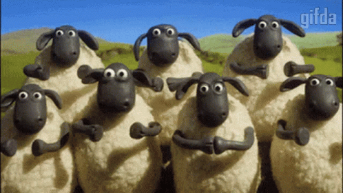 Applauz Sheep GIF