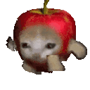 Applecatrun Sticker