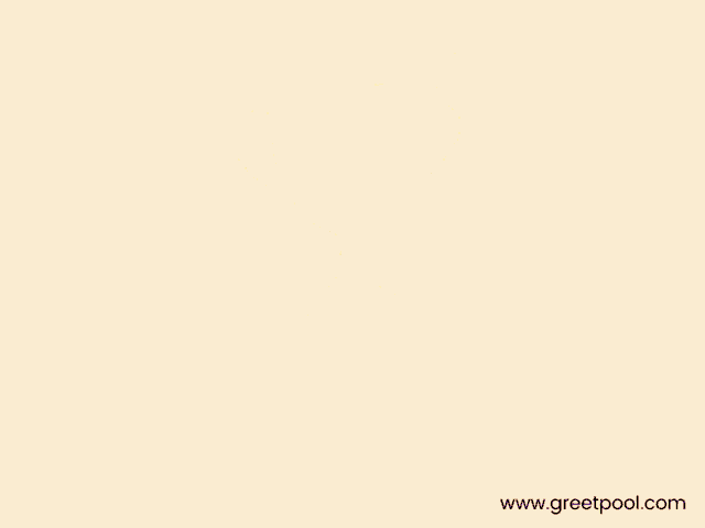 Appreciate Well Done GIF