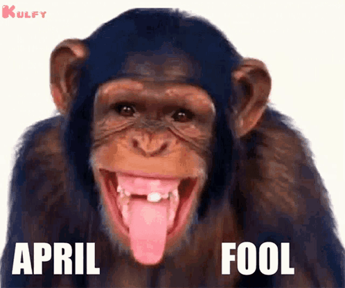 April Fools GIF