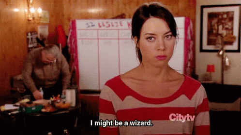 Aprilludgate Parksandrecreation GIF