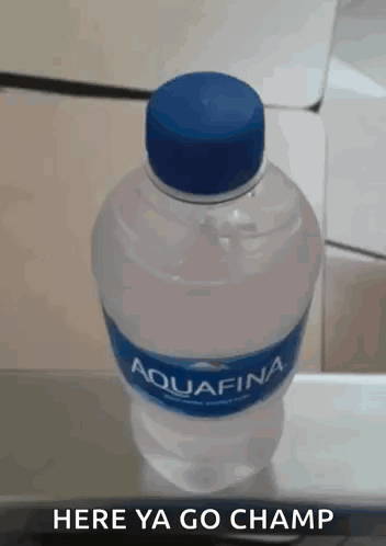 Aquafina Water Bottle GIF