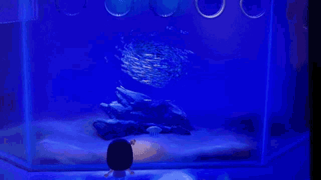 Aquarium Spinning GIF