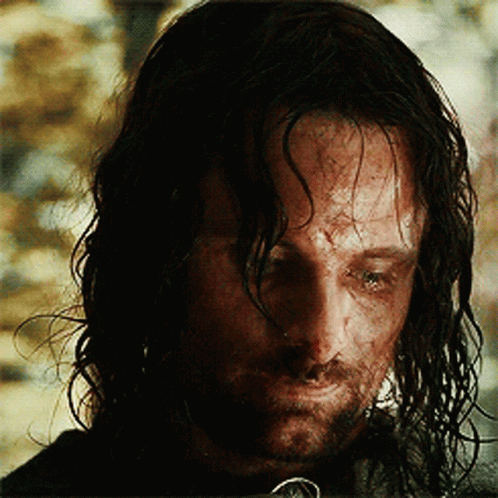 Aragorn Crying Aragorn GIF