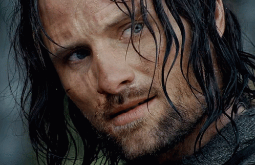Aragorn GIF
