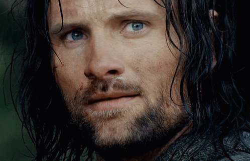 Aragorn GIF