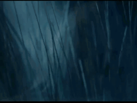 Aragorn Lord Of The Rings GIF