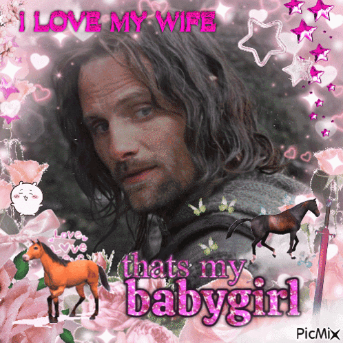 Aragorn Lord Of The Rings GIF