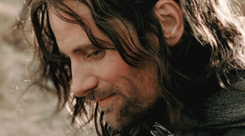 Aragorn Lotr GIF