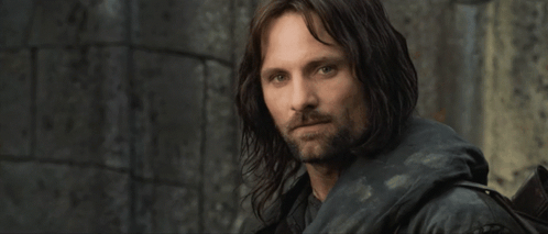 Aragorn Nod GIF