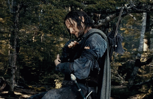 Aragorn GIF