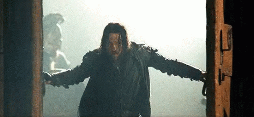 Aragorn Opening Door GIF