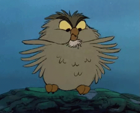 Archimedes Angry GIF