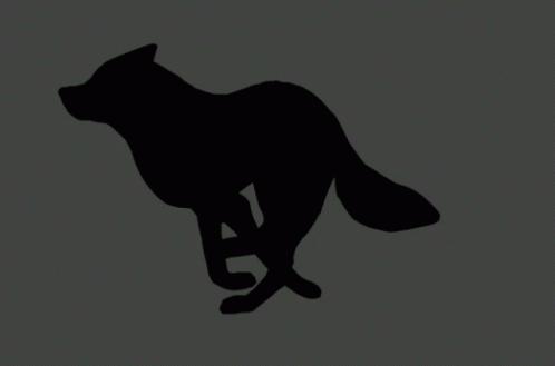Arctic Running Run GIF. This 498 x 329 animated GIF is part of our running wolf collection. Related themes include wolf. Created by Arctic_Jumper. View the…