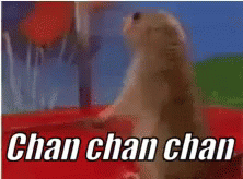 Ardilla Dramatica GIF
