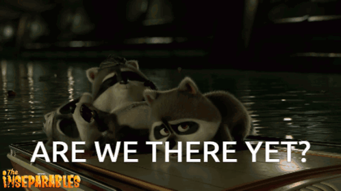 Are We There Yet Raccoon GIF
