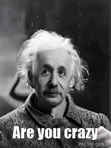 Are You Crazy Are You Sure GIF