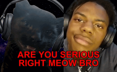 Are You Fr Rn Miles The Awesome Cat GIF