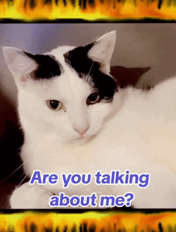 Are You Talking About Me Rooby GIF