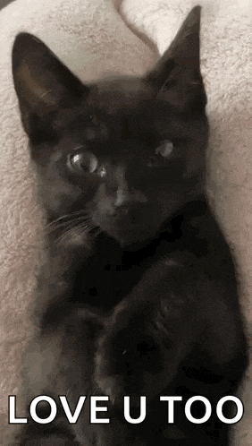 Arlo Arlo Wink GIF