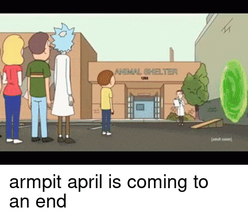 Armpit April Rick And Morty GIF