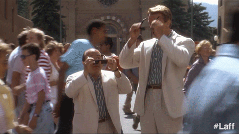 Arnold Arnold Schwarzenegger GIF