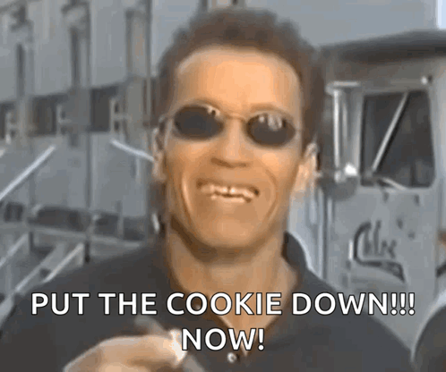 Arnold Schwarzenegger Like You GIF