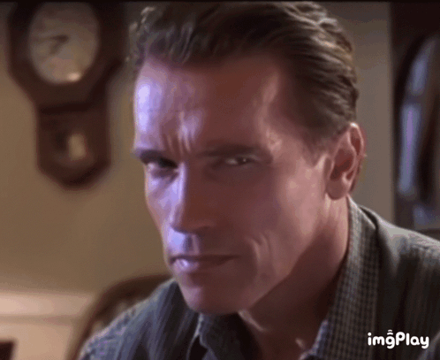 Arnold Schwarzenegger Straight Face GIF